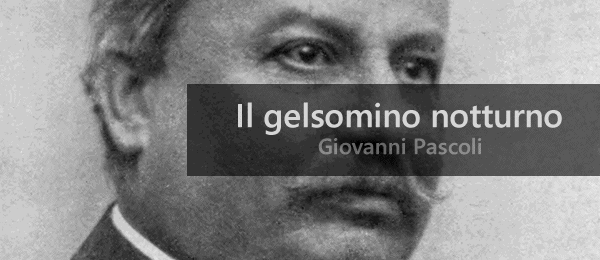 Schema metrico gelsomino notturno